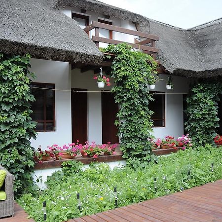 Doi Capitani Hotel Crisan  Exterior photo